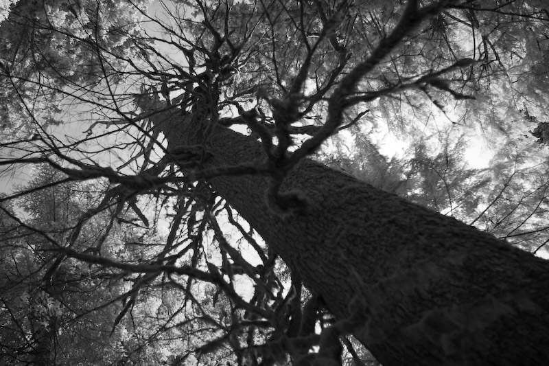 1/750 sec at f / 2.8 24 mm ISO 200