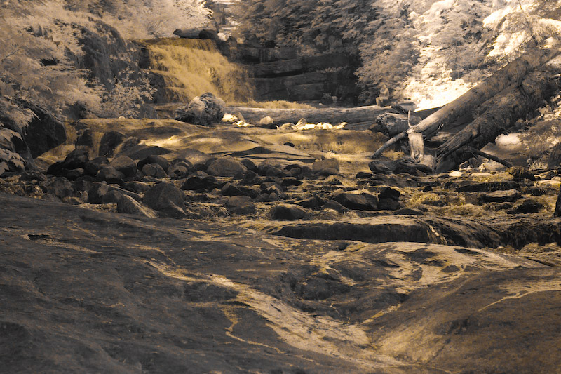 1/90 sec at f / 8.0 54 mm ISO 400