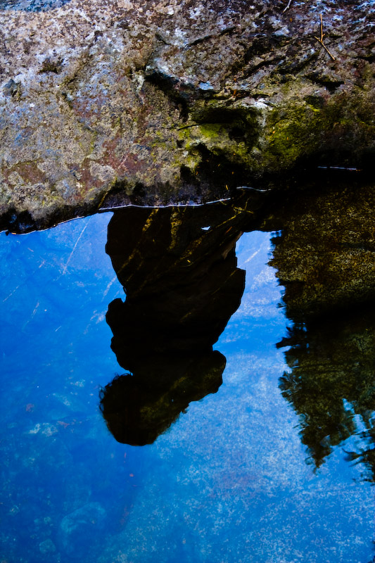 1/50 sec at f / 5.6 55 mm ISO 500