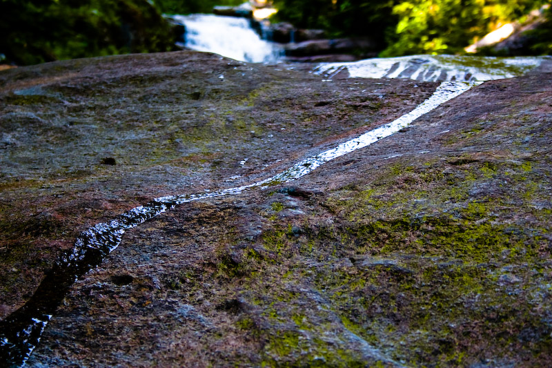 1/125 sec at f / 5.6 55 mm ISO 500