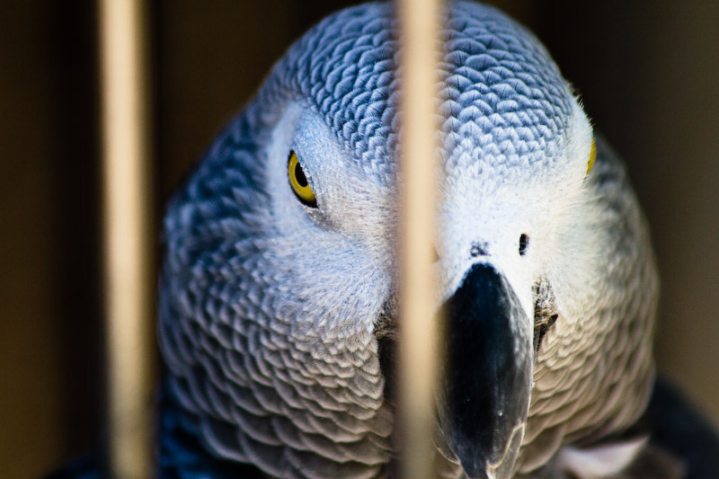 1/250 sec at f / 5.6 300 mm ISO 250