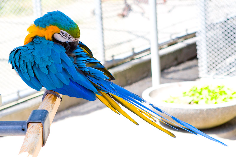 1/200 sec at f / 5.0 70 mm ISO 100