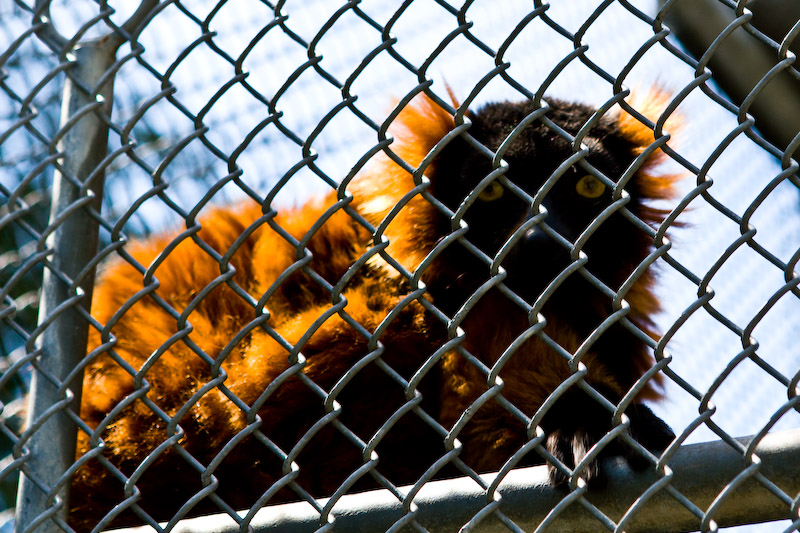 1/200 sec at f / 5.0 70 mm ISO 100