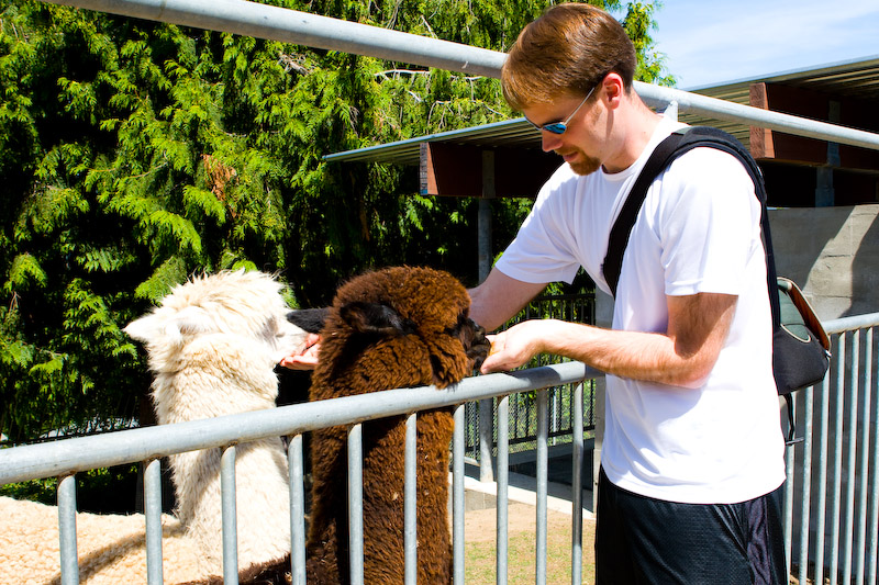 1/125 sec at f / 8.0 24 mm ISO 100