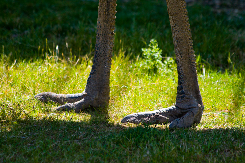 1/640 sec at f / 5.6 300 mm ISO 250