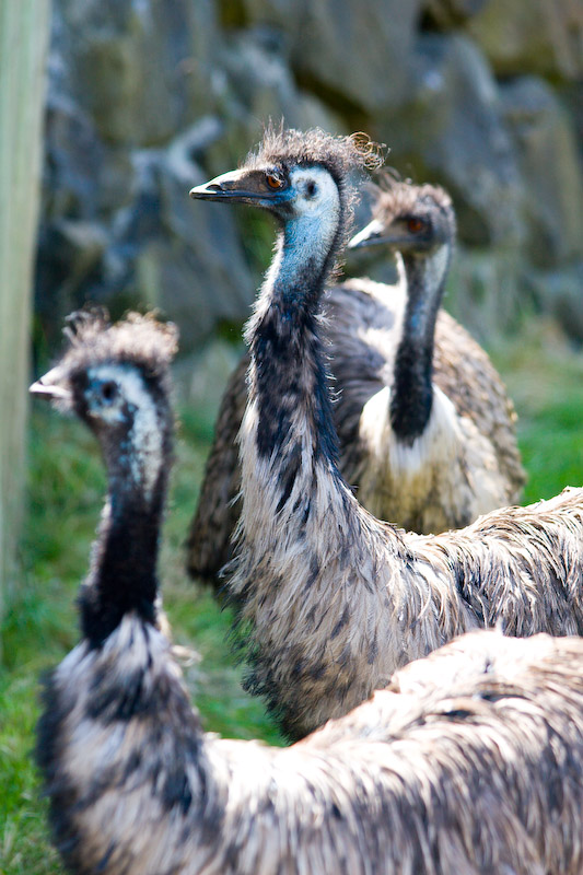 1/400 sec at f / 5.0 180 mm ISO 250