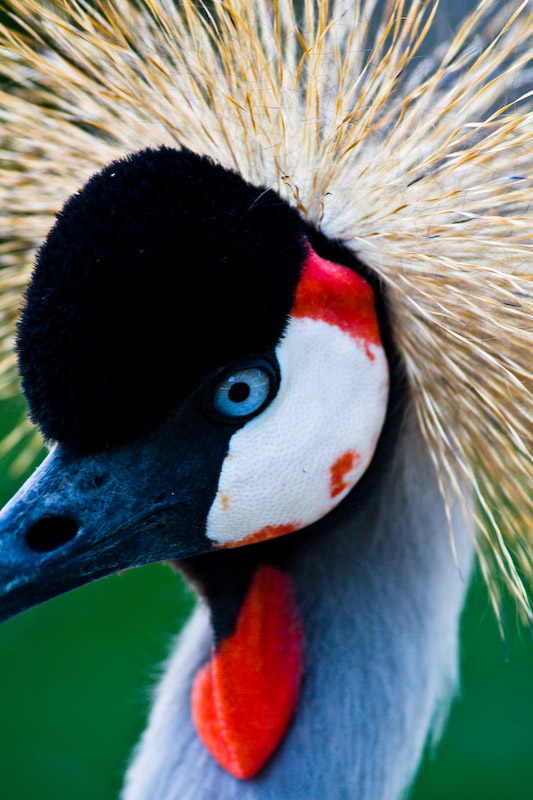 1/160 sec at f / 5.0 210 mm ISO 250