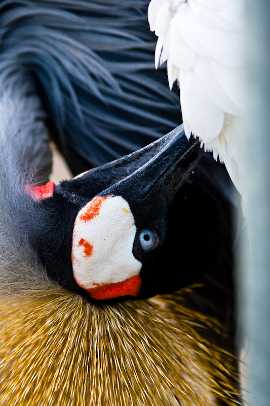 1/250 sec at f / 5.0 150 mm ISO 250