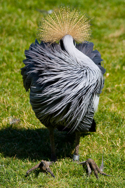 1/2500 sec at f / 4.5 130 mm ISO 250