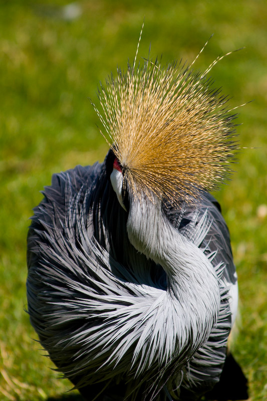 1/2000 sec at f / 5.6 300 mm ISO 250