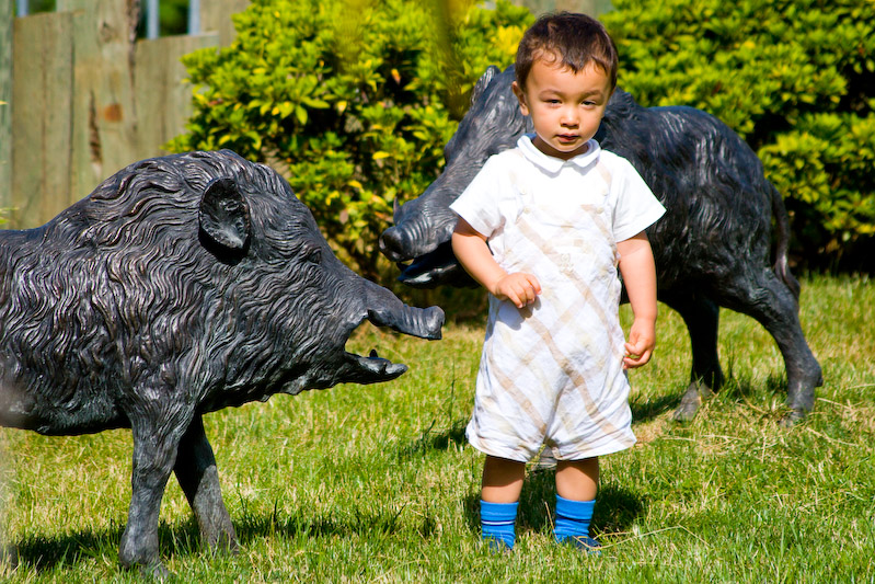 1/2000 sec at f / 5.6 300 mm ISO 250