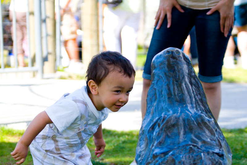 1/1000 sec at f / 4.0 70 mm ISO 250