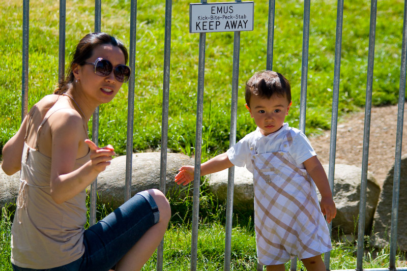 1/1250 sec at f / 5.0 135 mm ISO 250