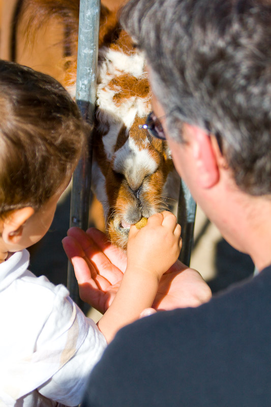 1/2000 sec at f / 4.0 70 mm ISO 250