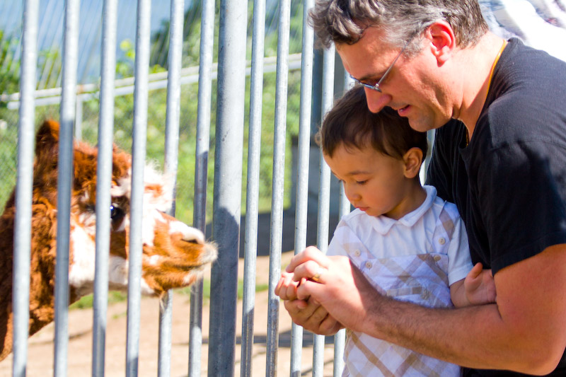 1/1000 sec at f / 4.0 70 mm ISO 250