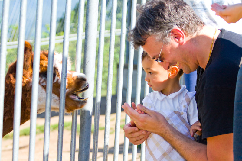 1/800 sec at f / 4.0 70 mm ISO 250