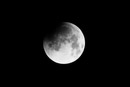 1/250 sec at f / 5.6 300 mm ISO 800