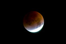1/5 sec at f / 5.6 300 mm ISO 3200