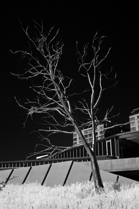 1/250 sec at f / 8.0 24 mm ISO 100