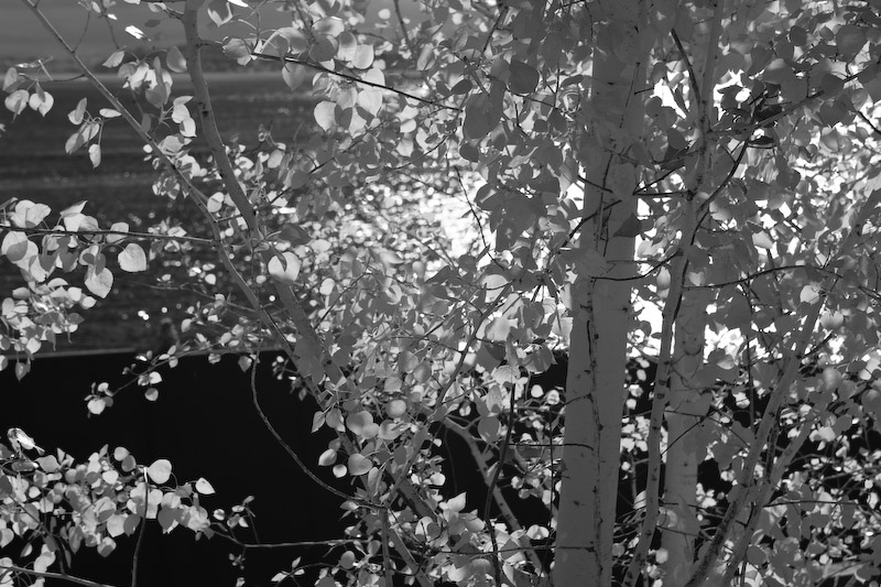 1/125 sec at f / 8.0 66 mm ISO 100