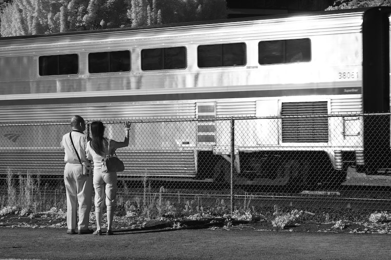 1/125 sec at f / 8.0 70 mm ISO 100