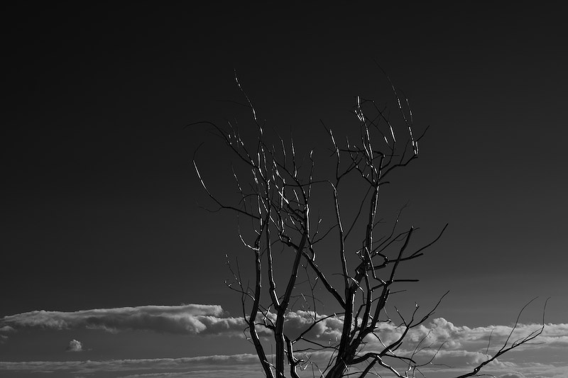 1/125 sec at f / 8.0 70 mm ISO 100