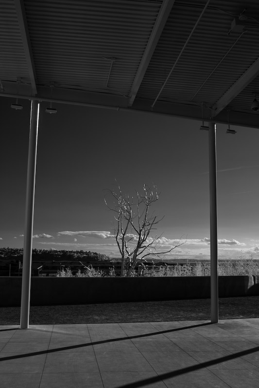 1/125 sec at f / 8.0 24 mm ISO 100