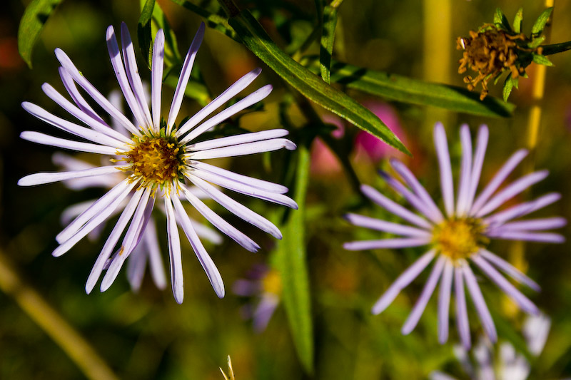 1/1600 sec at f / 8.0 55 mm ISO 400