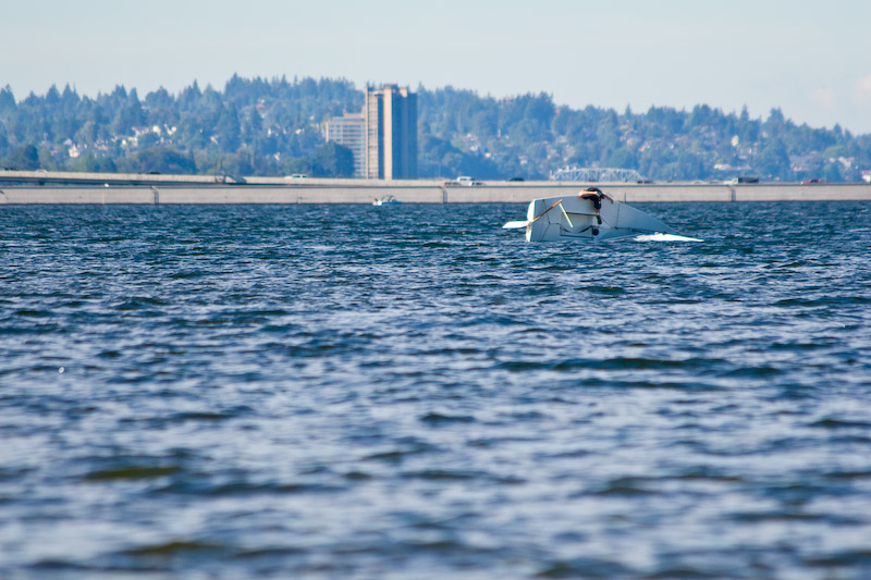 1/1250 sec at f / 5.6 300 mm ISO 400