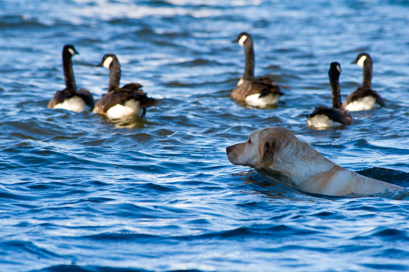 1/500 sec at f / 8.0 300 mm ISO 400