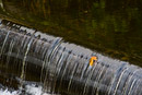 1/800 sec at f / 5.6 210 mm ISO 1250