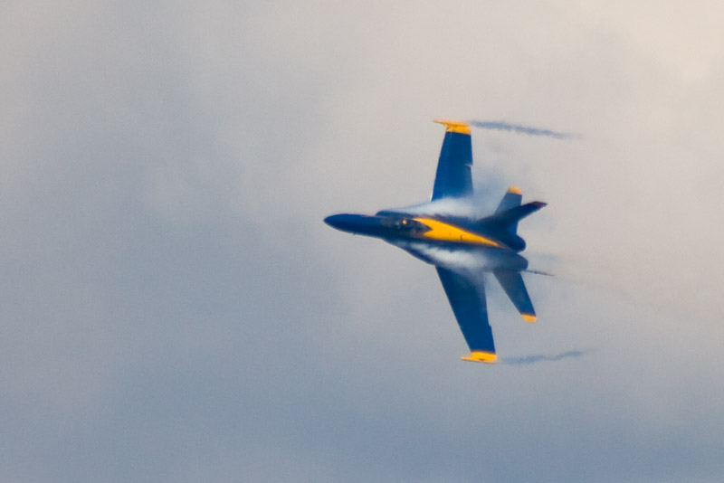 1/2000 sec at f / 5.6 300 mm ISO 400