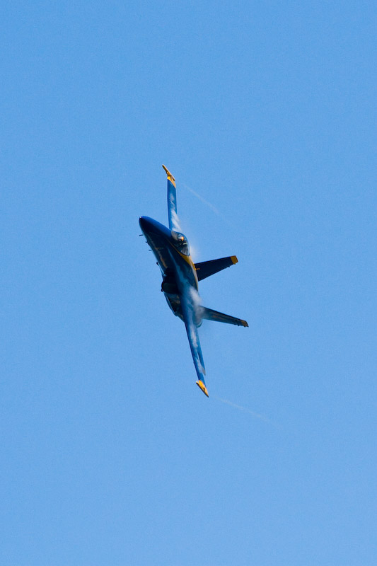1/1600 sec at f / 7.1 300 mm ISO 400