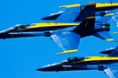 1/1000 sec at f / 7.1 300 mm ISO 400