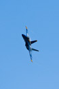 1/1600 sec at f / 7.1 300 mm ISO 400
