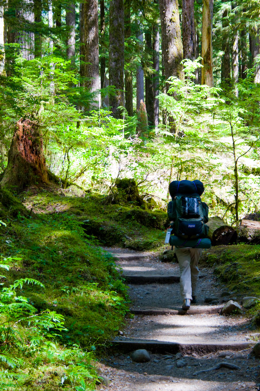 1/50 sec at f / 5.6 55 mm ISO 400