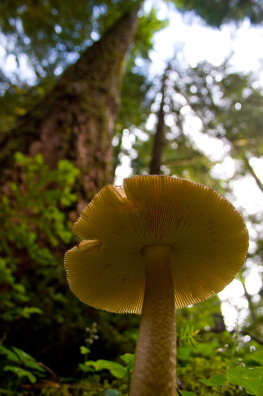 1/100 sec at f / 4.5 18 mm ISO 400