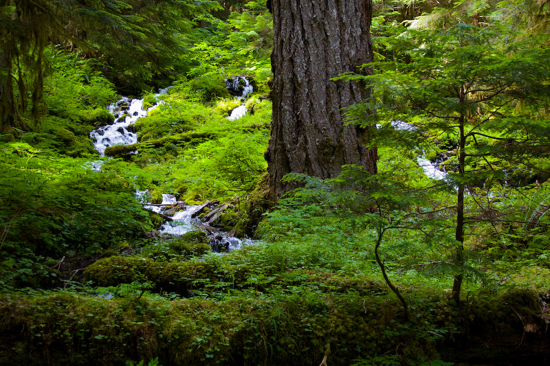 1/40 sec at f / 5.6 34 mm ISO 640