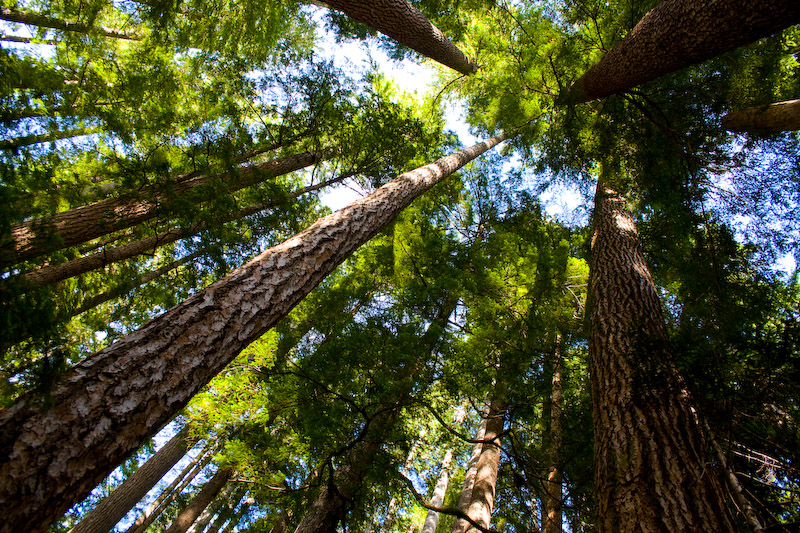 1/60 sec at f / 5.6 18 mm ISO 400