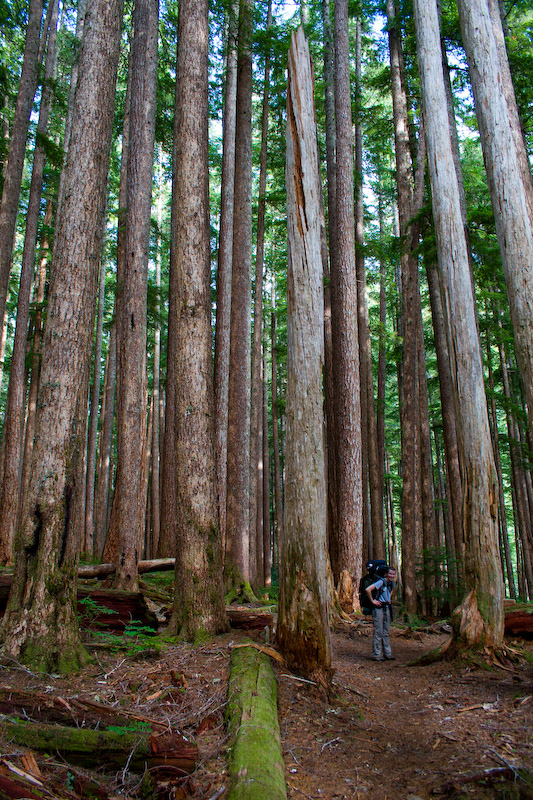 1/25 sec at f / 5.6 18 mm ISO 400