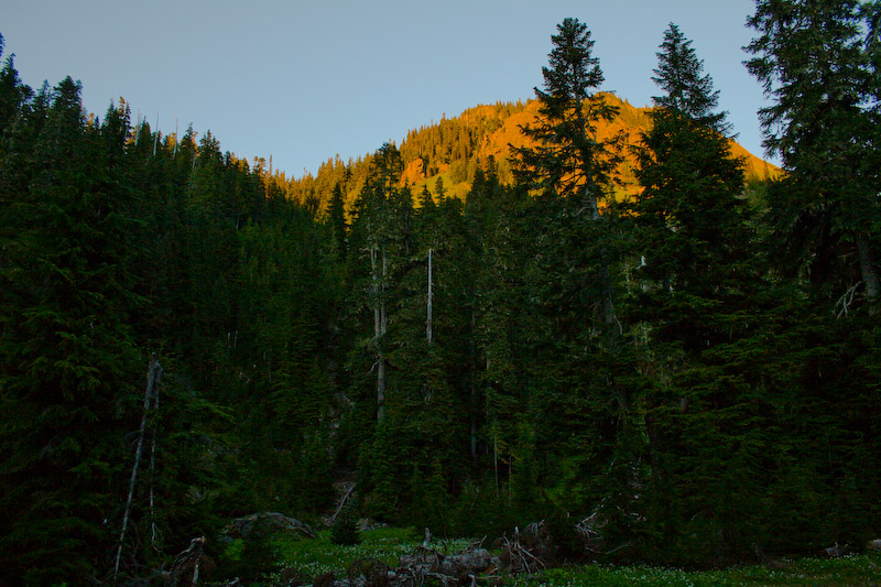 1/200 sec at f / 5.6 18 mm ISO 500