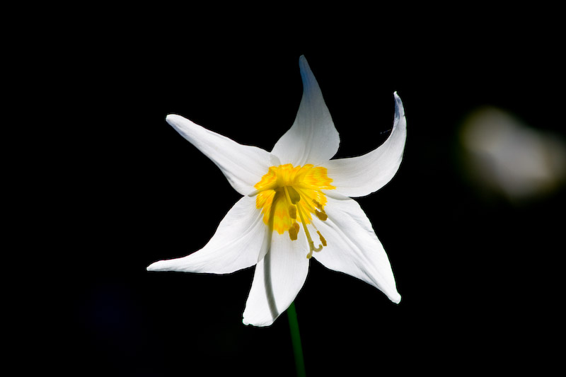 1/200 sec at f / 8.0 220 mm ISO 100