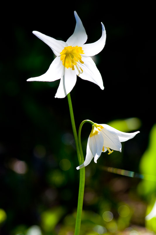 1/125 sec at f / 8.0 170 mm ISO 100