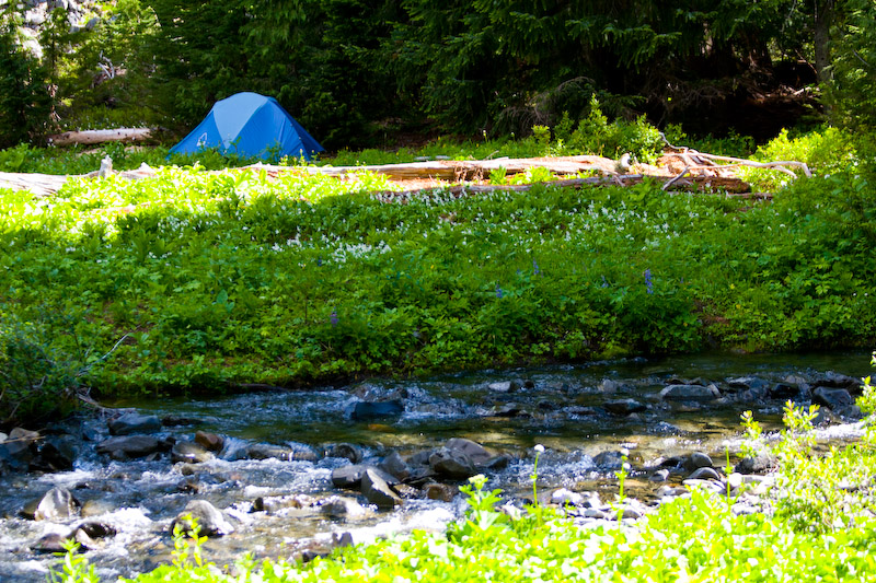 1/250 sec at f / 4.0 70 mm ISO 200