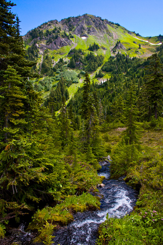 1/125 sec at f / 11 18 mm ISO 320