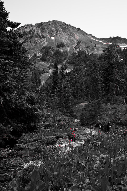 1/125 sec at f / 11 18 mm ISO 320