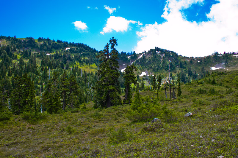 1/125 sec at f / 11 18 mm ISO 320