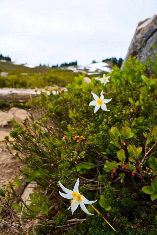 1/400 sec at f / 8.0 18 mm ISO 200