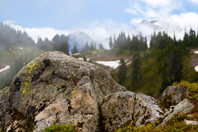 1/2500 sec at f / 4.0 70 mm ISO 320