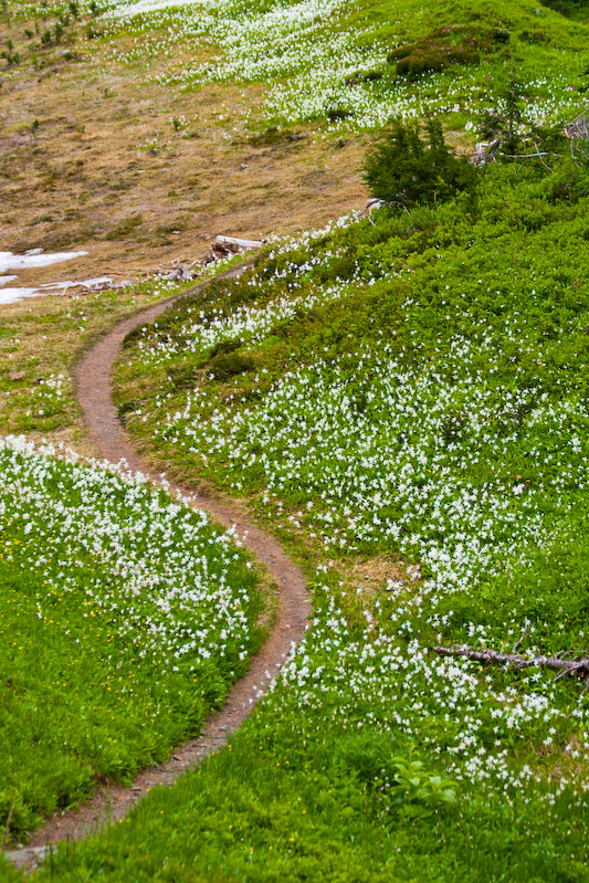 1/2000 sec at f / 4.0 70 mm ISO 320